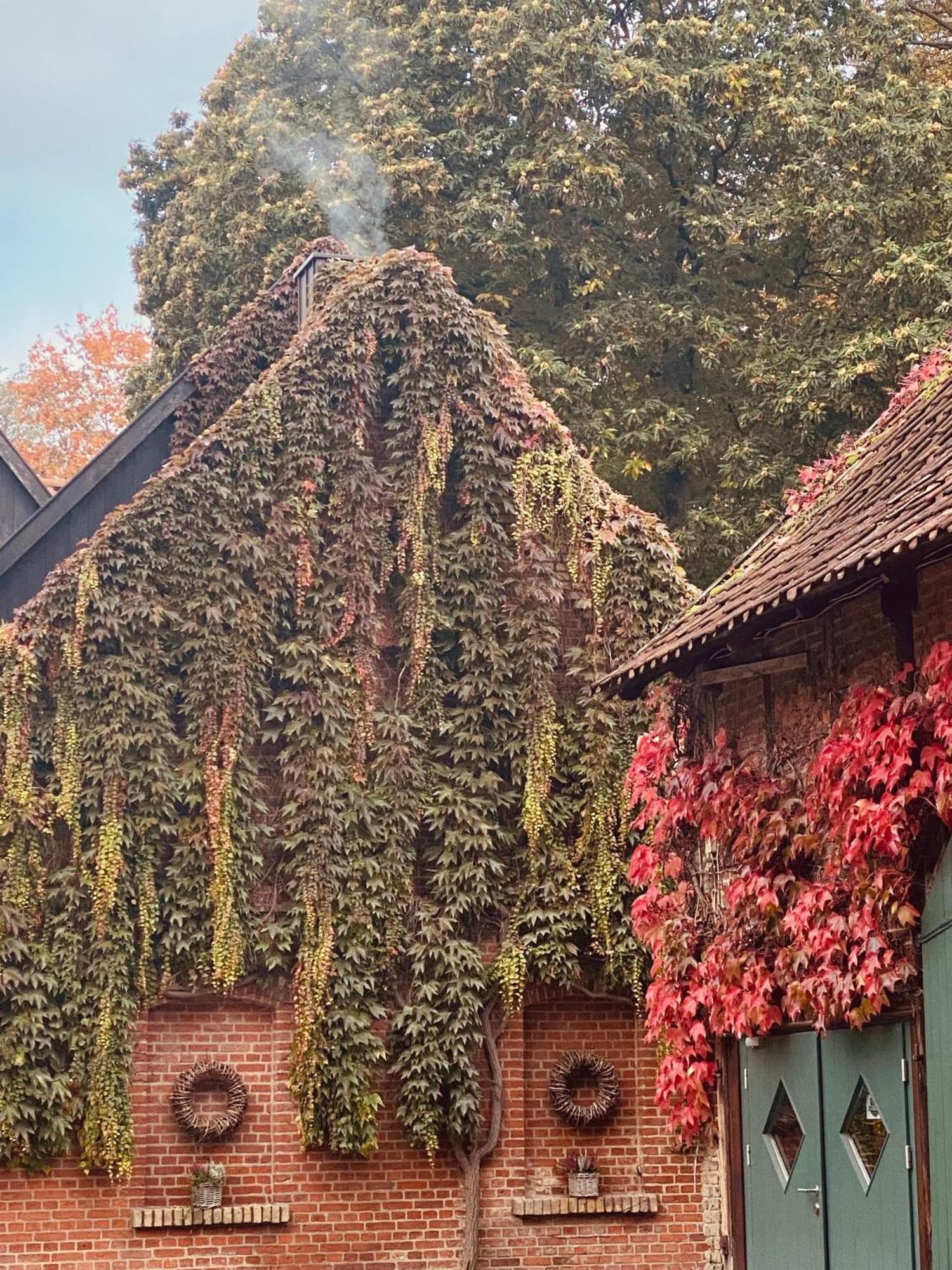 Landhaus Eggert Munster (North Rhine-Westphalia) Exterior foto